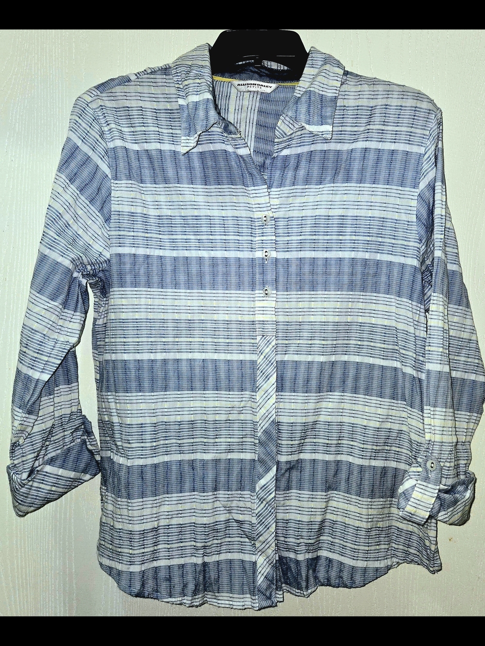Allison Daley Blue & White Striped Women's Button-Down Shirt